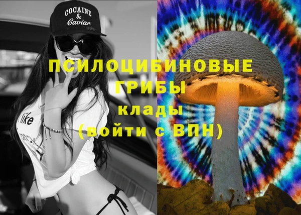 гидропоника Абаза